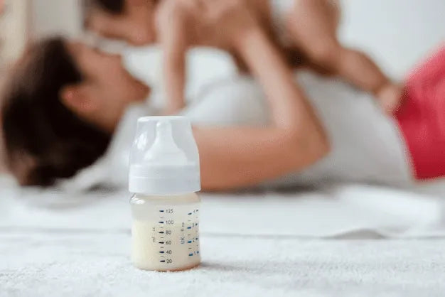 The Ultimate Guide to Choosing the Best Baby Bottle Drying Rack