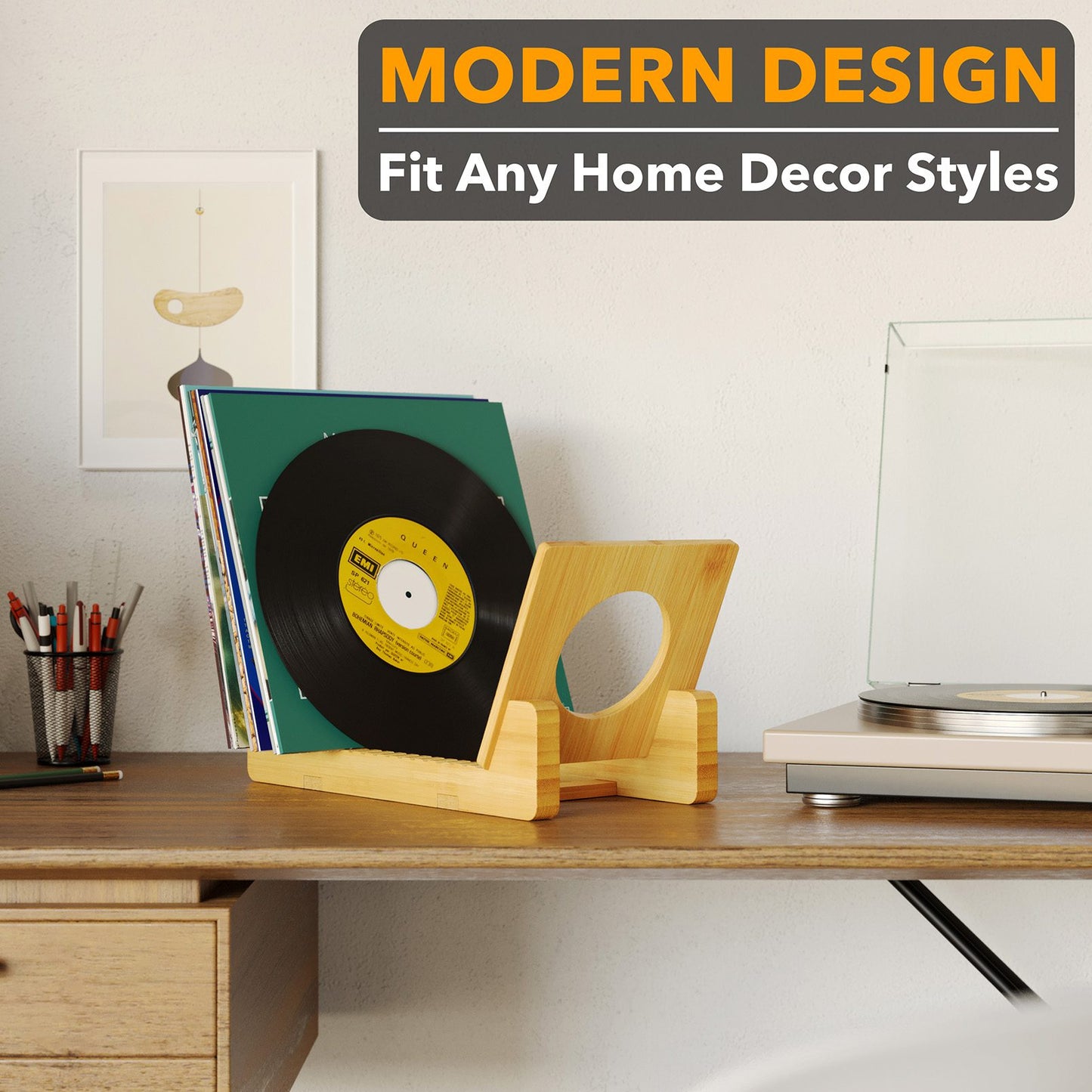 SpaceAid vinyl record organizer