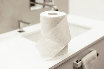 Top 5 Creative Bathroom Paper Towel Holder Ideas