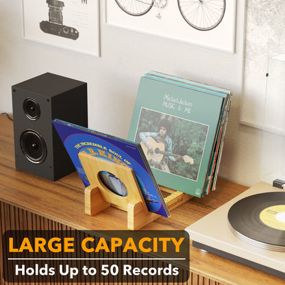 SpaceAid vinyl record organizer